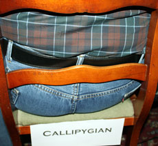 Click to see the definition of callipygian.
