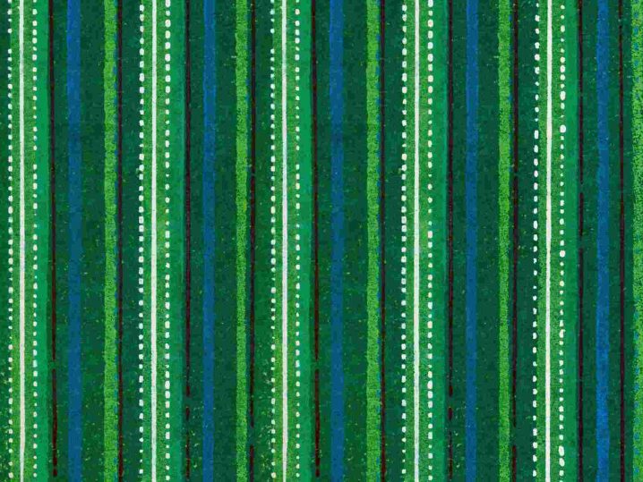 Laundromats and Washaterias A Way with Words, a fun radio show and