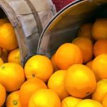 Navel-Gazing (episode #1549)